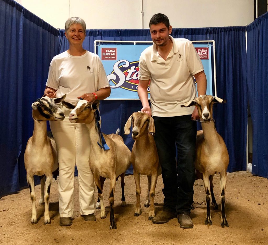 Evelyn and Eric with four goats in the Recorded Grade milking herd category at the 2019 NC State Fair Open Senior Dairy Goat Show.