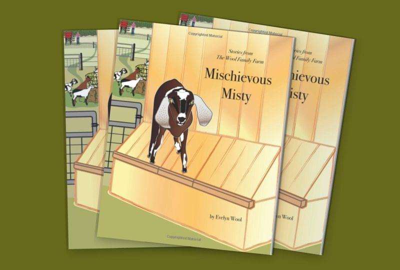 Mischievous Misty story book