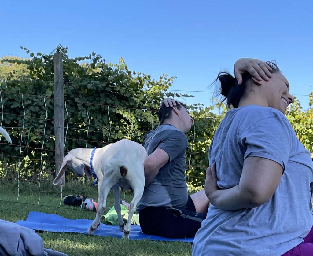 Goat Yoga participants with goat