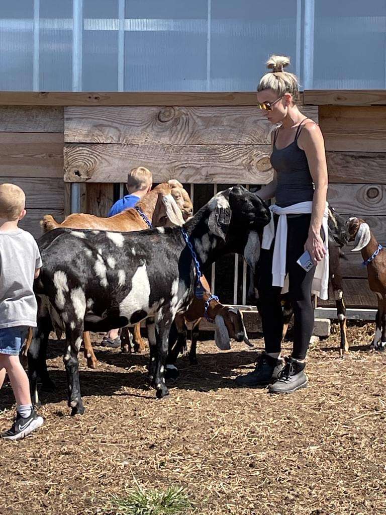 Woman and children petting Nubian dairy goats.