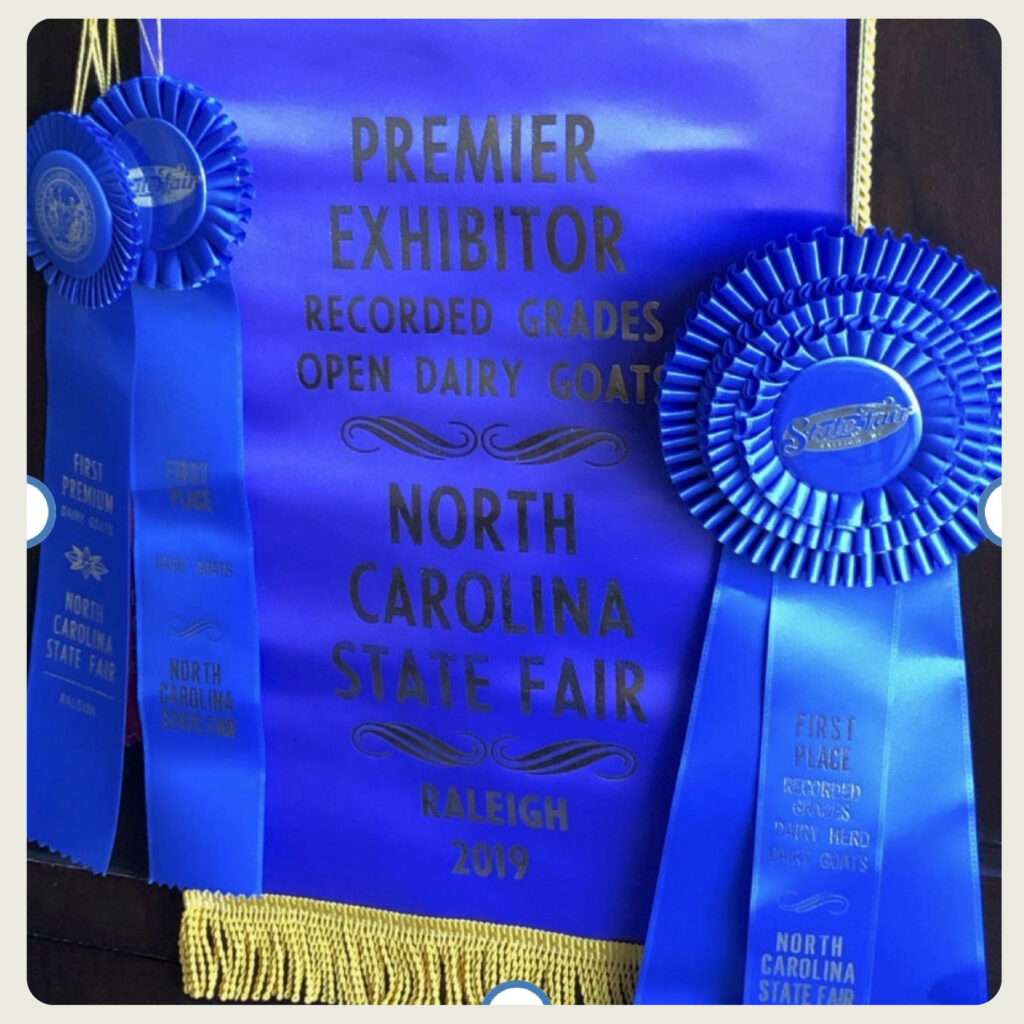 Premier Exhibitor flag and ribbons from NC State Fair open dairy goat show.