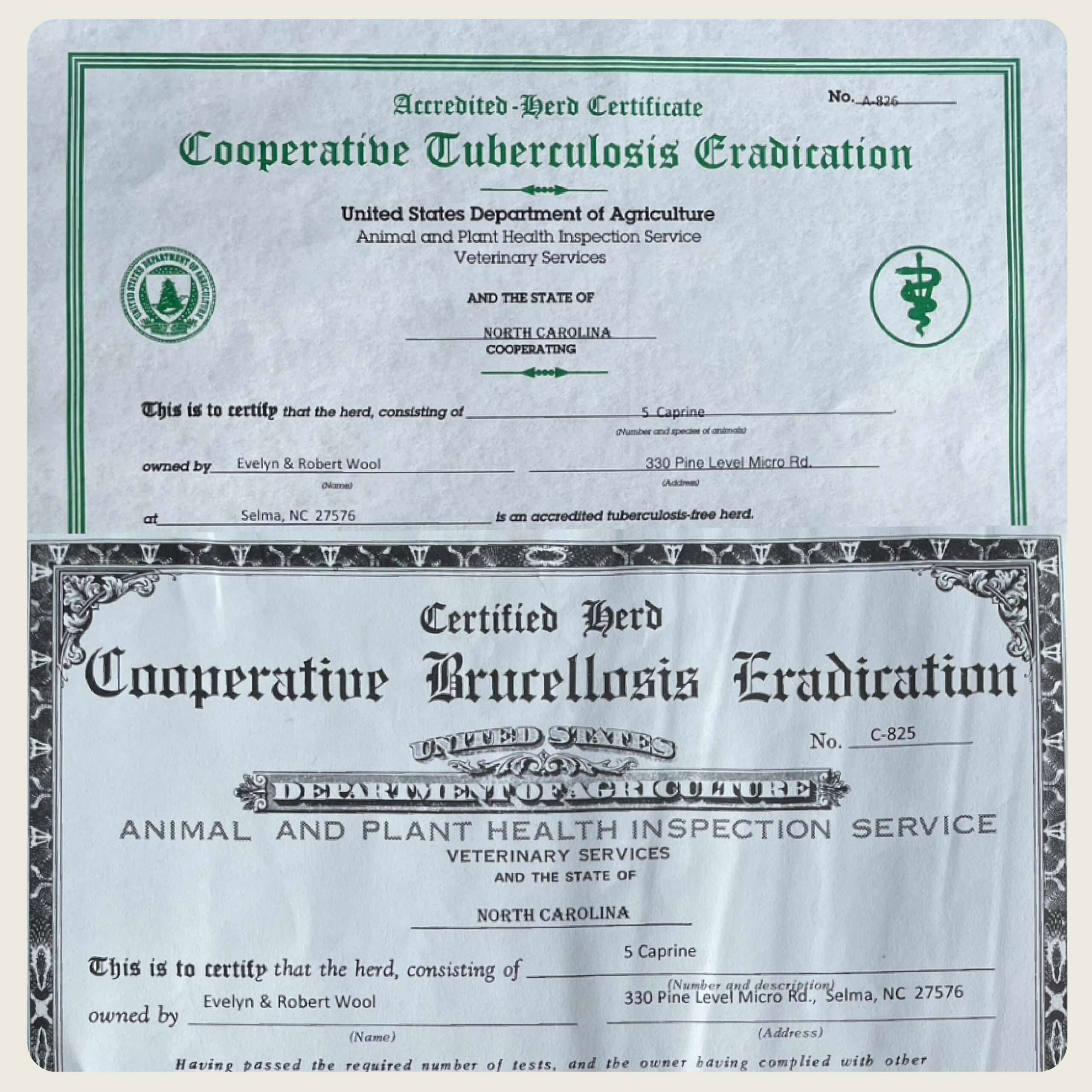 Tuberculosis- and Brucellosis-free health certificates.