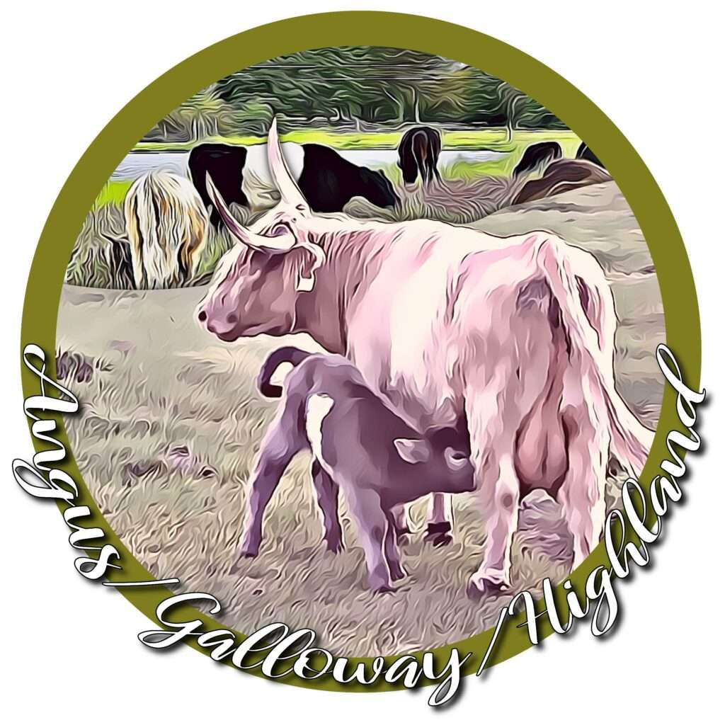 Angus/Galloway/Highland Cows badge image