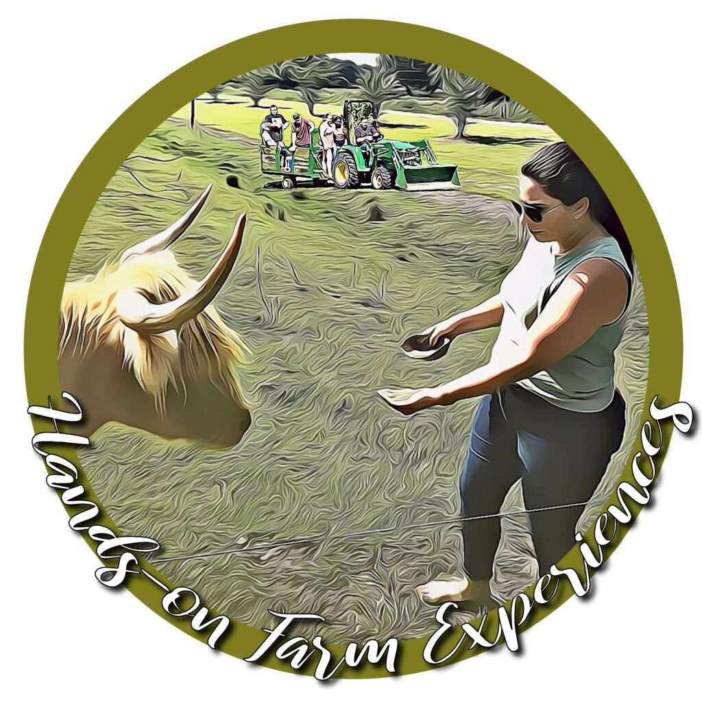 Farm Experiences woman feeding cow badge image