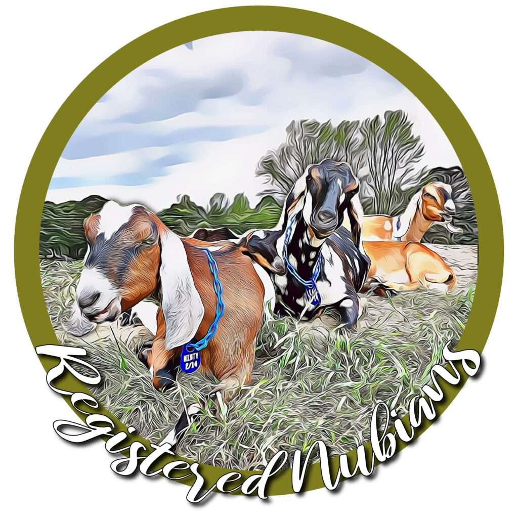 Registered Nubians badge image