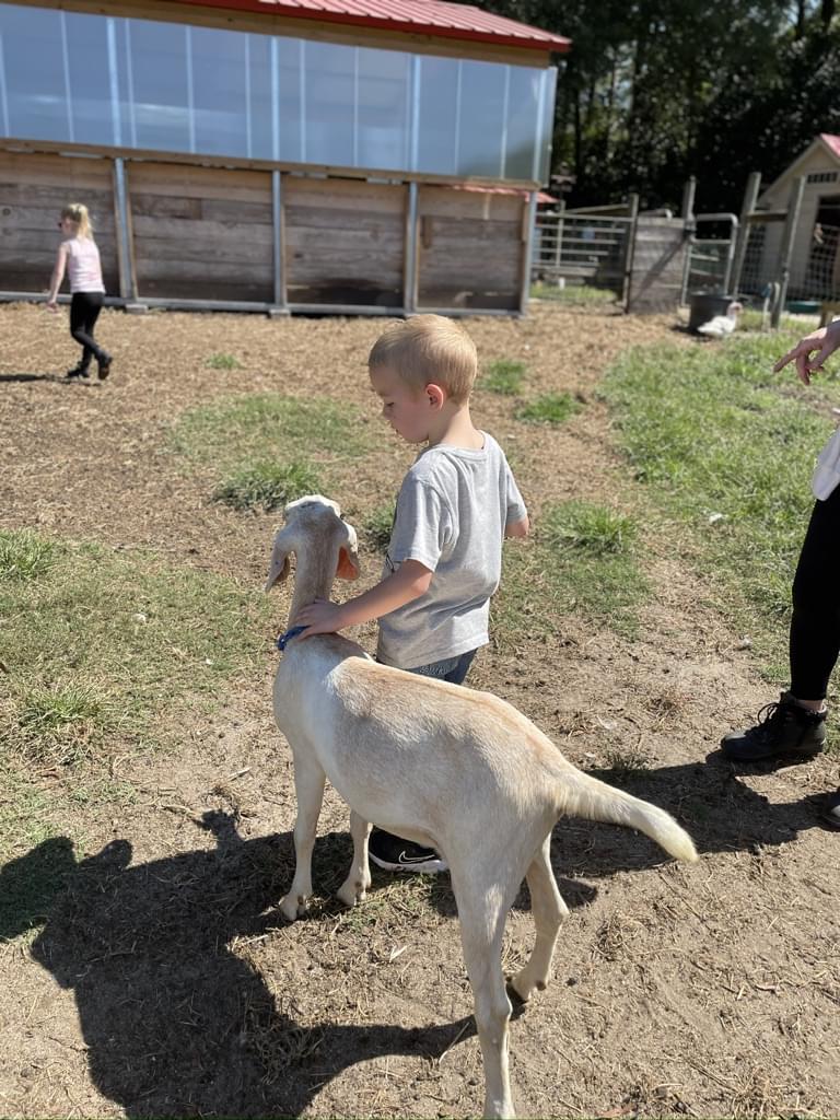 Boy with goat kid