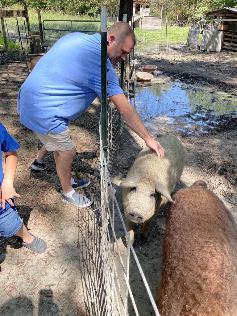 Man petting pig