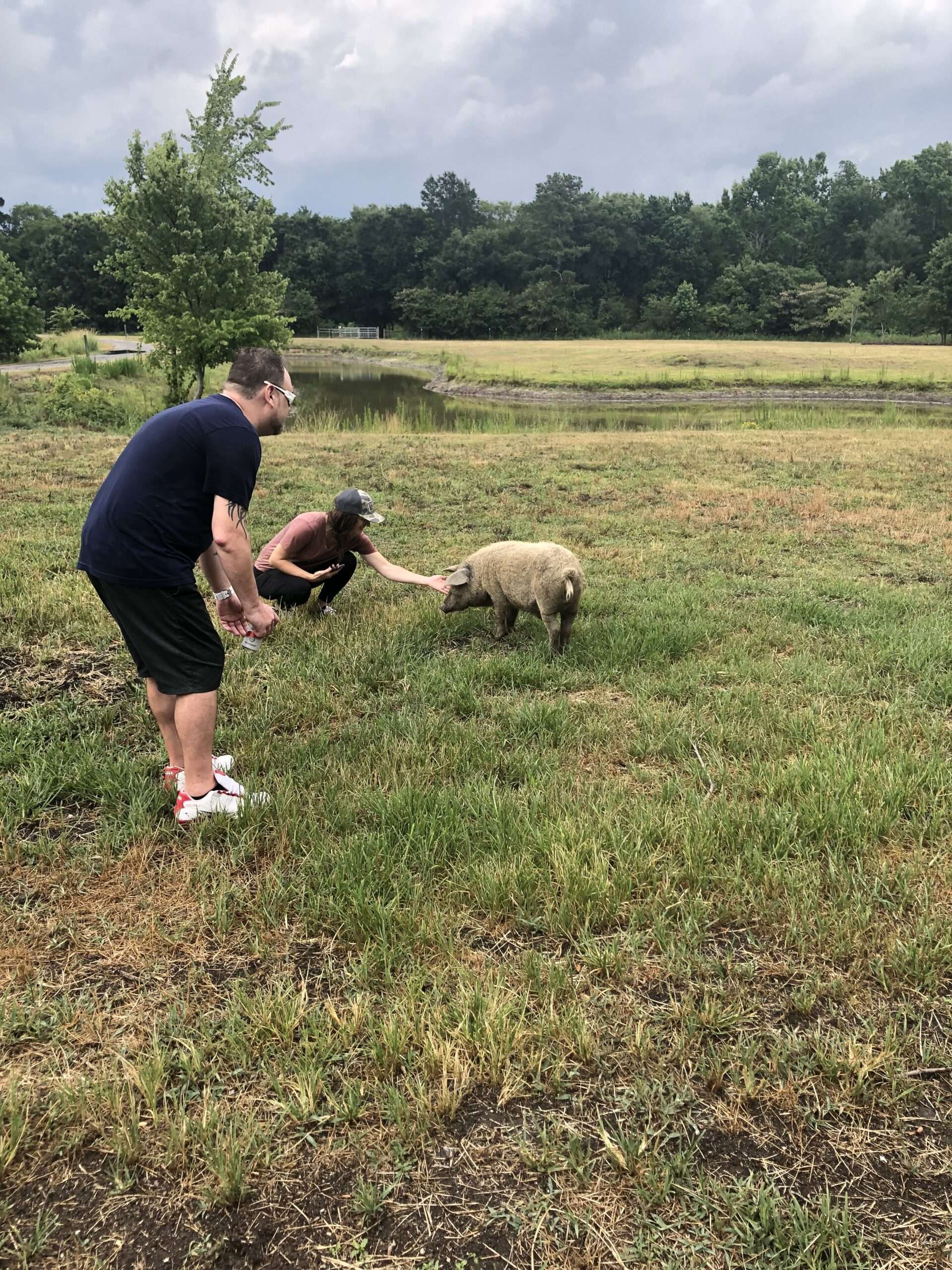 Farm Challenge at corporate outing-pet a pig