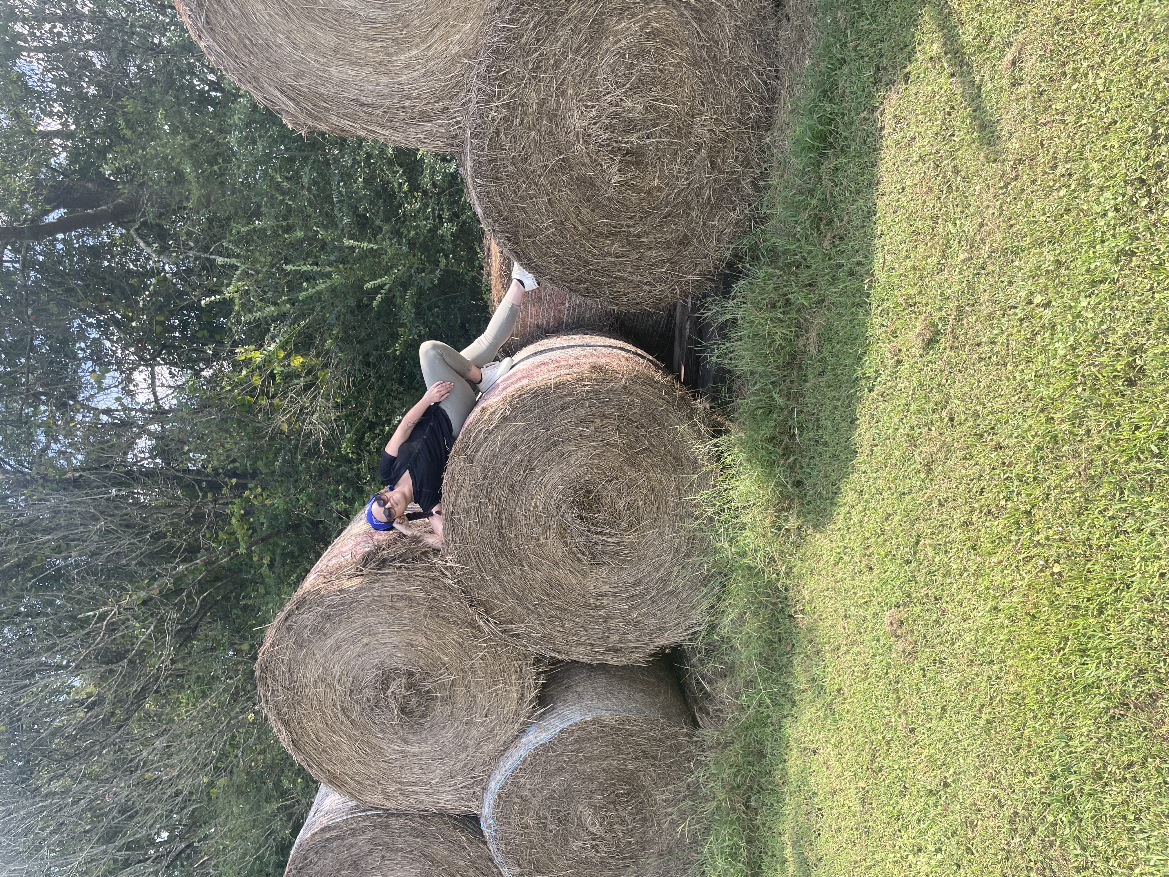 Climb on a round bale of hay